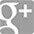 Tampa Strippers Google+